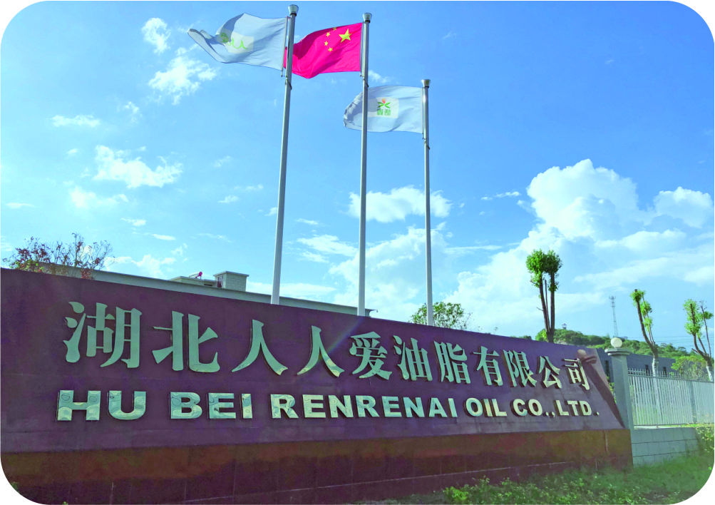湖北人人愛(ài)50噸/天茶籽制油項目